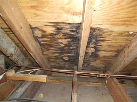 How To Stop A Roof Leak From The Inside at Jeffrey Jackson blog