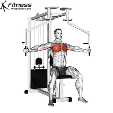 How To: Pec Deck Fly | Muscles Worked And Benefits