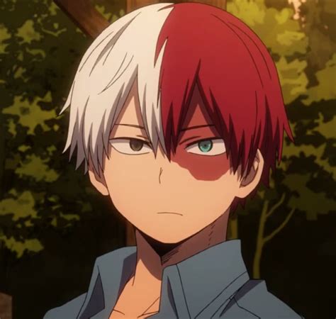 Shoto Todoroki Hot Smile