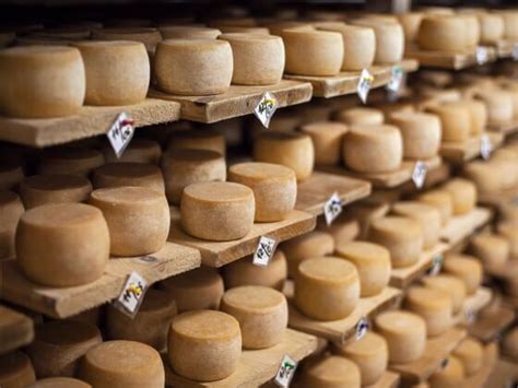 How To Find the Best Cheese in Wisconsin