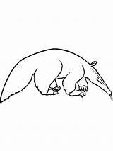 Anteater coloring Pages sketch template