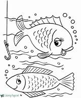 Fish Coloring Pages sketch template