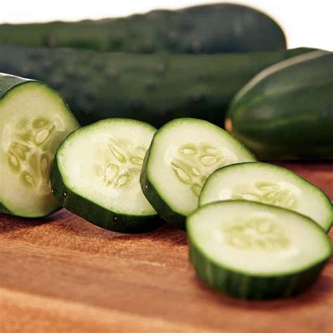 Cucumber Seeds for Planting at best price in Indore | ID: 19878319597