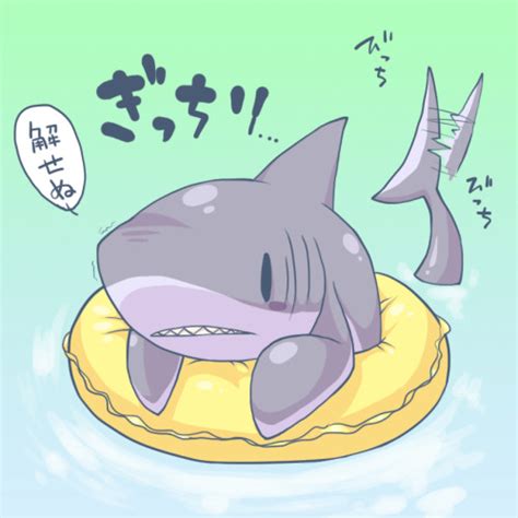 Shark Hugger • bobrellakan: Cute Shark! きんとら＠さめやろう WAIIIII!...