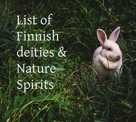 Finnish mythology and folk tales include countless amount of elementals ...