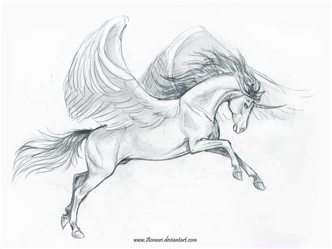 Sketch of a pegasus by AonikaArt on DeviantArt