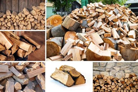 9 Different Types of Firewood - Home Stratosphere