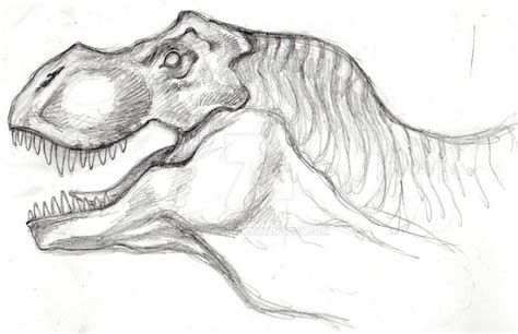 T-rex face - pencil sketch by SqiTzoW on DeviantArt | Pencil sketches ...