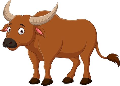 Premium Vector | Cartoon buffalo isolated on white background