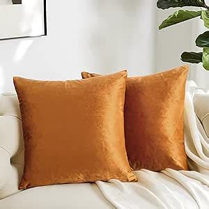 Amazon.com: GIGIZAZA Decorative Throw Pillow Covers 26x26,Set of 2 Burnt Orange Square Couch ...