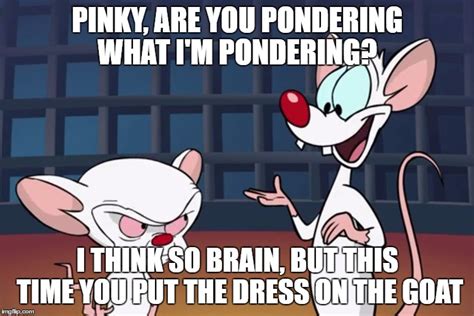 Pondering Pinky And The Brain Meme