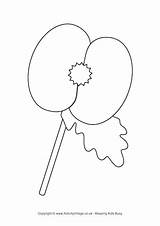 Simple Poppy Flower Drawing Sketch Coloring Page sketch template