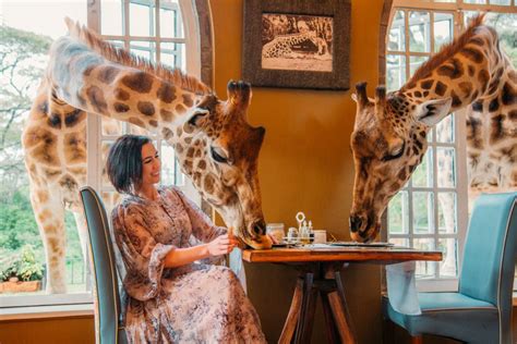 What to Wear to Giraffe Manor | Have Clothes, Will Travel