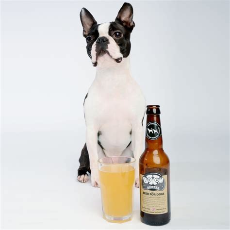 Buy Woof&Brew Bottom Sniffer Dog Beer, 300ml Online at Low Price in ...