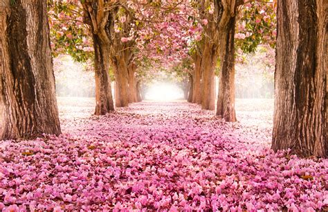 Beautiful Spring Scenery Wallpapers - Wallpaper Cave