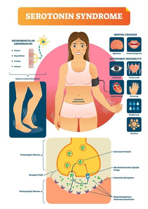 What Does Serotonin Do? Neurotransmitter Function