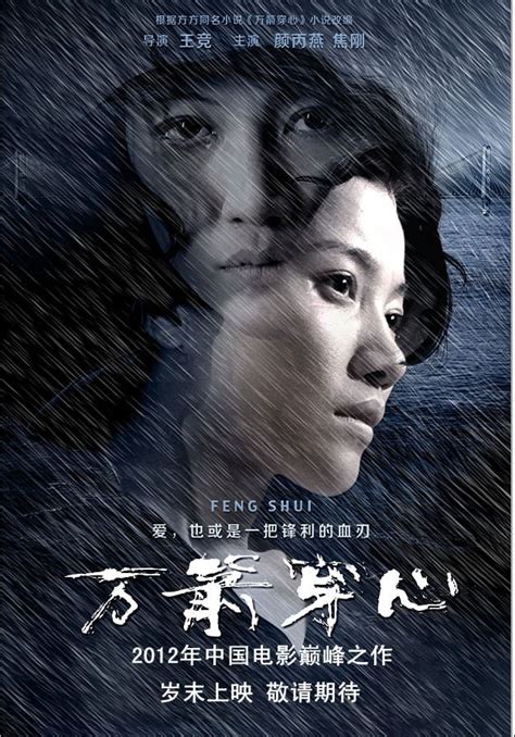 Feng Shui (2012) - Posters — The Movie Database (TMDB)