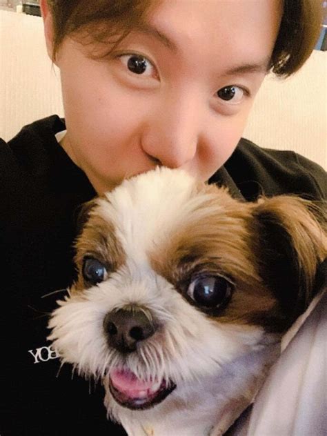 Get to know the extra members of BTS: All their adorable dogs – Film Daily