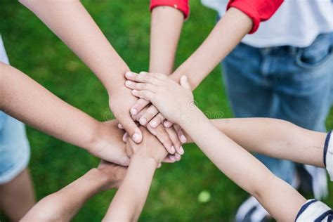 Children Stacking Hands while Standing on Green Grass Stock Photo ...