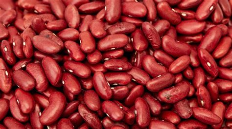 Kidney Beans 101: Nutrition Facts and Health Benefits