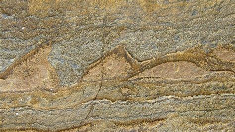 Oldest fossil ever discovered significantly extends estimated age of life on Earth - ABC News