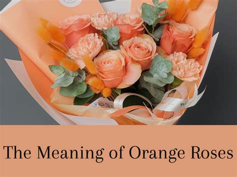 Orange Rose Meaning: In Friendship, Love and Dreams - HubPages