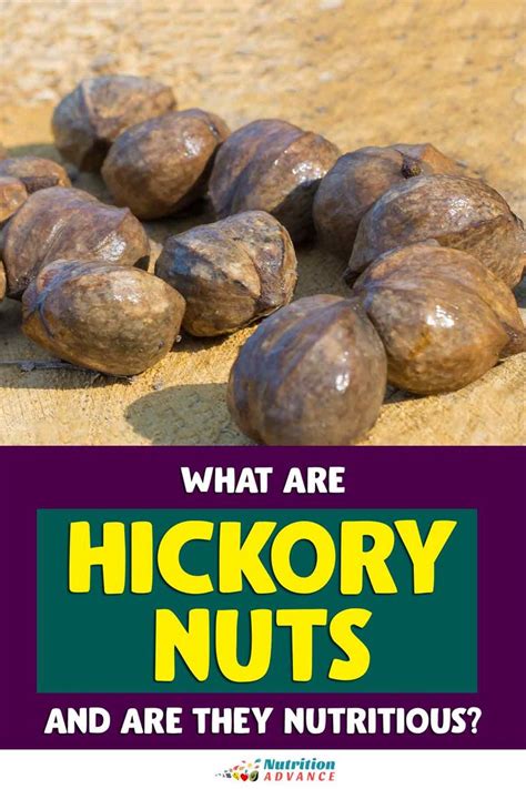 What Are Hickory Nuts and Are They Nutritious? | Nutrition articles ...