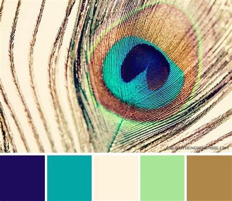 Color Palette // Peacock Feather | Color palette, Peacock feather, Feather photography