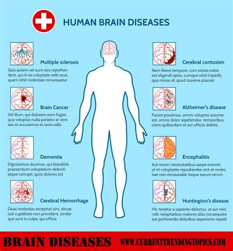 Brain Diseases Common Causes, Symptoms and Treatments in 2020 | Brain diseases, Human digestive ...