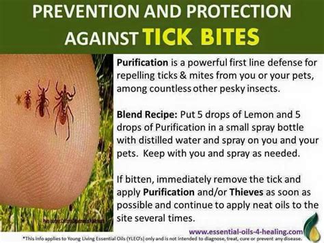 Tick Prevention | Essential oils herbs, Young living essential oils, Essential oils aromatherapy