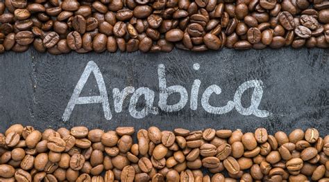 The 10 Best Arabica Coffee Beans For Your Cup! - cozycoffeecup.com
