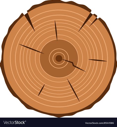 Tree trunk cross section isolated on white Vector Image