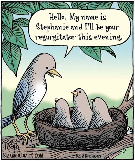 Bird Humor. | Comics kingdom, Bizarro comic, Cartoon jokes