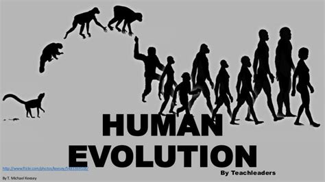 The human evolution