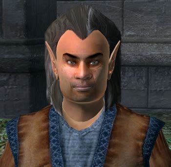 The Elder Scrolls IV: Oblivion / Characters - TV Tropes