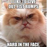 New grumpy cat Meme Generator - Imgflip