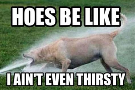 hoes be like ... | Funny thoughts, Thirsty meme, Funny quotes