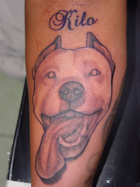 Pit Bull Tattoos - Askideas.com