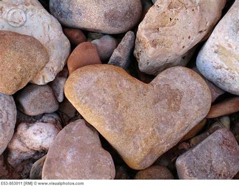 heart shaped rock,@Megan Willmore | Photography | Pinterest | Heart ...