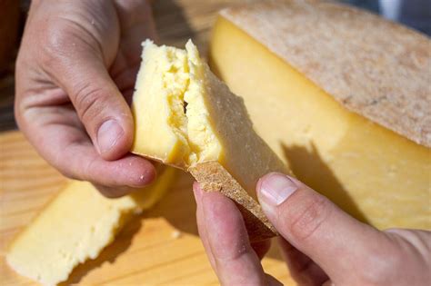 How a Wisconsin Couple is Making Cheese to Save the Yak | The Cheese ...