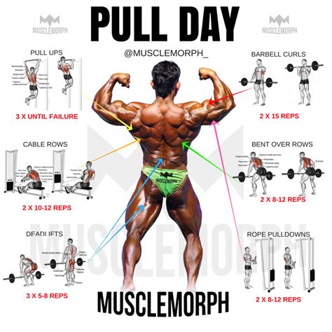 PULL DAY EXERCISE WORKOUT MUSCLEMORPH MUSCLEMORPHSUPPS.COM BODYBUILDING ...