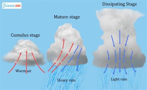 Why Do Thunderstorms Occur Later In The Day? » Science ABC