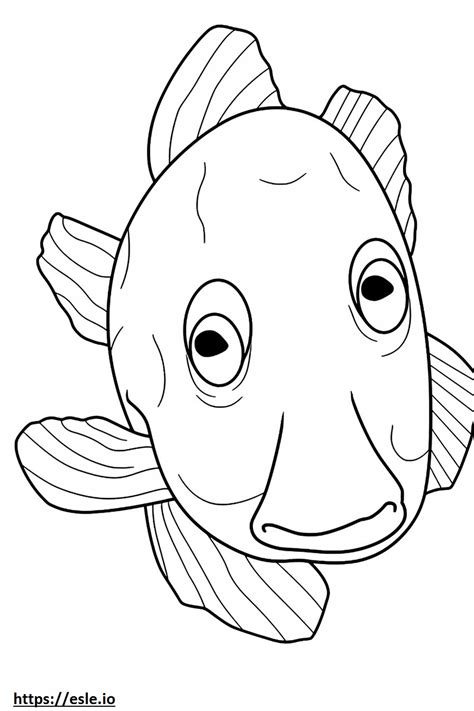 Blue Eyed Pleco face coloring page