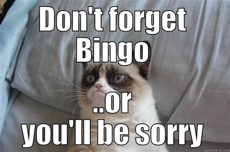 Bingo Cat - quickmeme