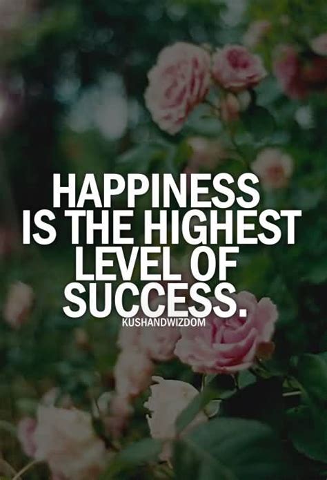 Happiness And Success Quotes. QuotesGram