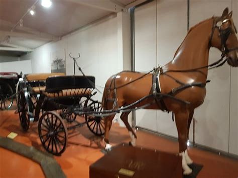 Cobb+Co Museum (Toowoomba): UPDATED 2019 All You Need to Know Before You Go (with PHOTOS)