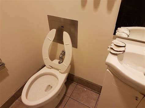 50 Funny Pics That Perfectly Sum Up Office Life | Workplace bathroom, Toilet, Toilet paper