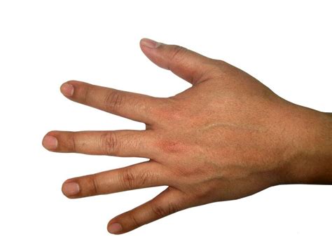 Five Finger Hand PNG Image | Finger hands, Five fingers, Hand png