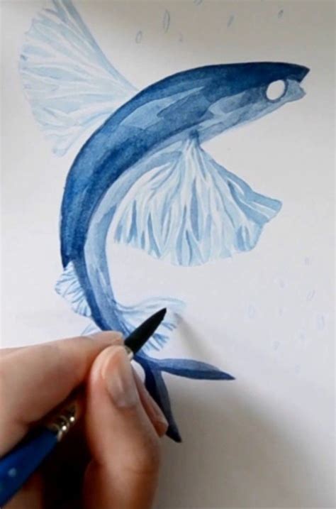 Flying fish watercolor drawing | Watercolor fish, Watercolor drawing ...