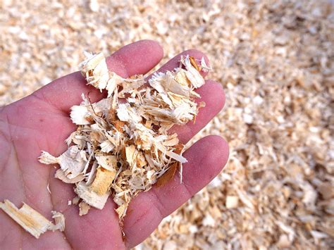 Wood Shavings » Wood Shavings for Sale » North Wales